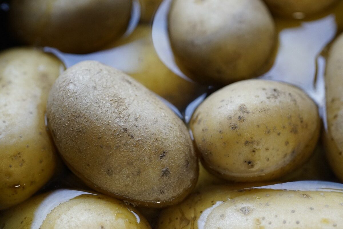 Vad betyder det att drömma om potatis? - Bok om Drömmar